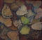 Connecticut Pastel Society Award Cottonwood Leaves by Linda HarrisonParsons